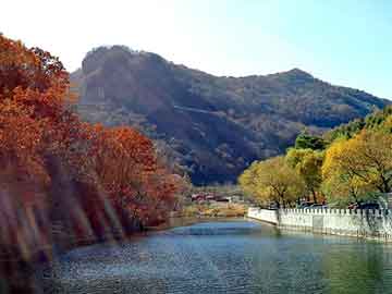 新澳天天开奖资料大全旅游团，湖口seo程序